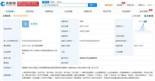 北京網(wǎng)絡技術服務 數(shù)字化浪潮下的創(chuàng)新引擎